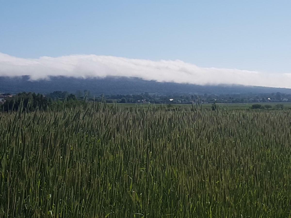 Mendokowe Ranczo Villa Gorno-Parcele Exteriör bild